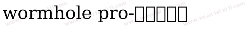 wormhole pro字体转换